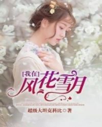 我在风花雪月里等你书评